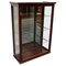 Victorian Mahogany Museum or Shop Display Cabinet, Late 1800s 1