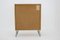 Upcycled Birch Cabinet, Czechoslovakia, 1970s, Image 13