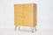 Upcycled Birch Cabinet, Czechoslovakia, 1970s, Image 4