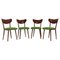 Beech Dining Chairs, Czechoslovakia, 1960s, Set of 4 1