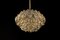 Lámpara de araña de latón dorado de Sciolari Design para Palwa, Germany, años 70, Imagen 11
