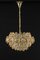 Gilt Brass Chandelier by Sciolari Design for Palwa, Germany, 1970s, Image 10