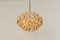 Gilt Brass Chandelier by Sciolari Design for Palwa, Germany, 1970s, Image 7