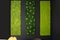 Dehydrated Plant Wall Stabilized Polemoss from VGnewtrend, Image 3