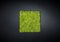 Dehydrated Plant Wall Stabilized Polemoss from VGnewtrend, Image 1