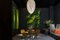 Pared vegetal deshidratada estabilizada con musgo en barra de VGnewtrend, Imagen 3