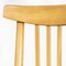 Bentwood Dining Chairs from TON, 1960s, Set of 4 6