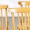 Bentwood Dining Chairs from TON, 1960s, Set of 4, Image 3