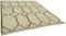 Vintage Beige Area Rug 2