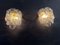 Vintage Italian Murano Wall Lights with Ten White Amber Trasparent Glasses, 1988, Set of 2 16