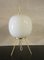 Table Lamp in White Glass 11