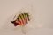 Murano Glass Fish, Italy, 1970s, Image 2