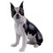 Porcelain Figure of Boston Terrier from Bing & Grøndahl, 1970s, Image 1