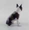 Figurine de Boston Terrier en Porcelaine de Bing & Grøndahl, 1970s 3