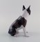 Statuetta di Boston Terrier in porcellana di Bing & Grøndahl, anni '70, Immagine 3