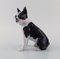 Figurine de Boston Terrier en Porcelaine de Bing & Grøndahl, 1970s 2