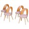 Mid-Century Modern Chairs by Antonín Šuman, Czechoslovakia, 1950s, Set of 4 1