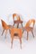 Mid-Century Modern Chairs by Antonín Šuman, Czechoslovakia, 1950s, Set of 4, Image 11