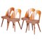 Mid-Century Modern Chairs by Antonín Šuman, Czechoslovakia, 1950s, Set of 4 1