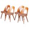 Mid-Century Modern Chairs by Antonín Šuman, Czechoslovakia, 1950s, Set of 4, Image 1