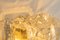 Large Amber Bubble Glass Sconce by Helena Tynell for Limburg, Germany 11