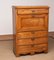 18th Century Swedish Biedermeier Narrow Pine Secretary 12