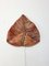 Mid-Century Palmenblatt Wandleuchte aus Keramik 1