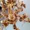 Neapolitan Gold Rococo Chandelier, Image 8