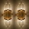 Modern Flower Shaped Glass Rod Wall Sconce in the Style of Sciolari 12