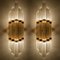 Modern Flower Shaped Glass Rod Wall Sconce in the Style of Sciolari, Image 12