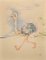 Georges Bastia, Ostrich, Original Lithograph, 1950s 1