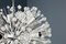 Austrian Dandelion Sputnik Chandelier by Emil Stejnar for Rupert Nikoll, 1955, Image 5