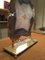 Lampada da tavolo Fossil con luce, Italia, inizio XXI secolo, Immagine 3