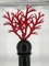 Italian Vase in Black Murano Glass with Red Coral Stopper, 2000s 3