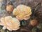 Bodegón de flores, escuela italiana, Italia, óleo sobre lienzo, enmarcado, Imagen 5
