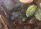 Bodegón de flores, escuela italiana, Italia, óleo sobre lienzo, enmarcado, Imagen 7