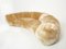 Sofá Croissant de terciopelo mohair de Raphael Raffel para Honore Paris, años 70, Imagen 5