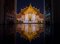 Zheetahc Unclebear, Reflection of Thainess, Photograph, Image 1