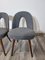 Dining Chairs by Antonin Suman, Set of 4, Image 8