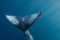Impresión artística limitada de ballenas jorobadas Serenity, 2021, Imagen 3