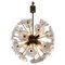 Dandelion Sputnik Chandelier by Kamenicky Senov, 1970s, Image 1