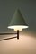 Drehbare Mid-Century Wandlampe von Luco 9