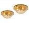 Glass and Brass Wall Sconce or Flush Mounts Cosack Lights, Germany, 1970s, Image 8