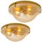 Glass and Brass Wall Sconce or Flush Mounts Cosack Lights, Germany, 1970s 2