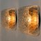 Flower Glass Flush Mount or Wall Sconce, 1960s 6