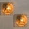 Flower Glass Flush Mount or Wall Sconce, 1960s 9