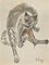 Philippe Chedeau, The Brown Cat, Original Drawing, Mid 20th-Century 1