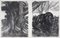 Paul Jouve, Le Lion, 1934, Lithographie Originale sur Papier BFK Rives. 3