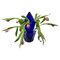 Blaue Tulip Vase aus Glas von Willem Noyons, 1997 2