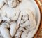 Bassorise in Marble with Putti by Edward William Wyon, 1800s, Image 3